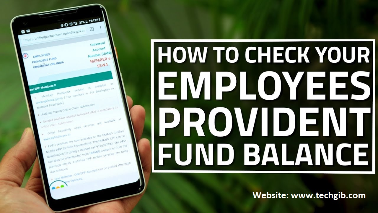 Check your PF Balance